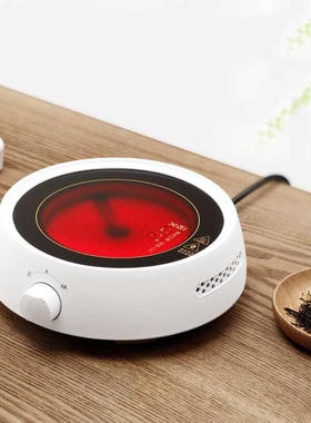 110V220V小型电陶炉电茶炉