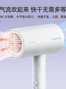 飞科负离子网红款折叠电吹风机