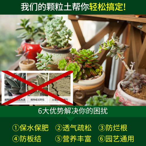 多肉颗粒土专用十合一八合一营养土麦饭石铺面石肥料植物育苗通用 - 图2