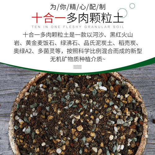 多肉颗粒土专用十合一八合一营养土麦饭石铺面石肥料植物育苗通用 - 图0