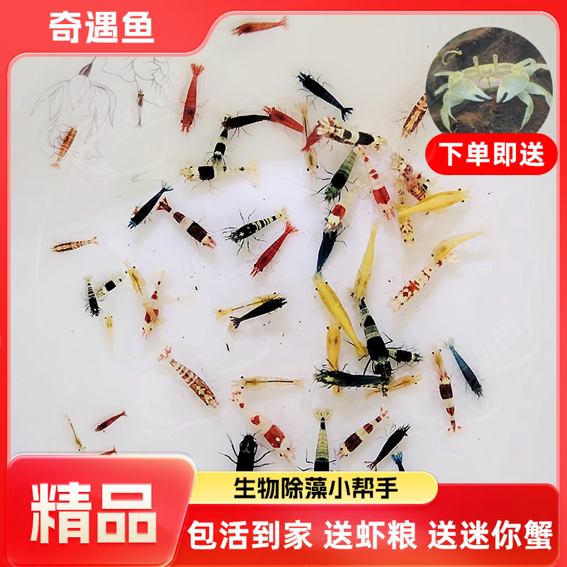 商品详情图片