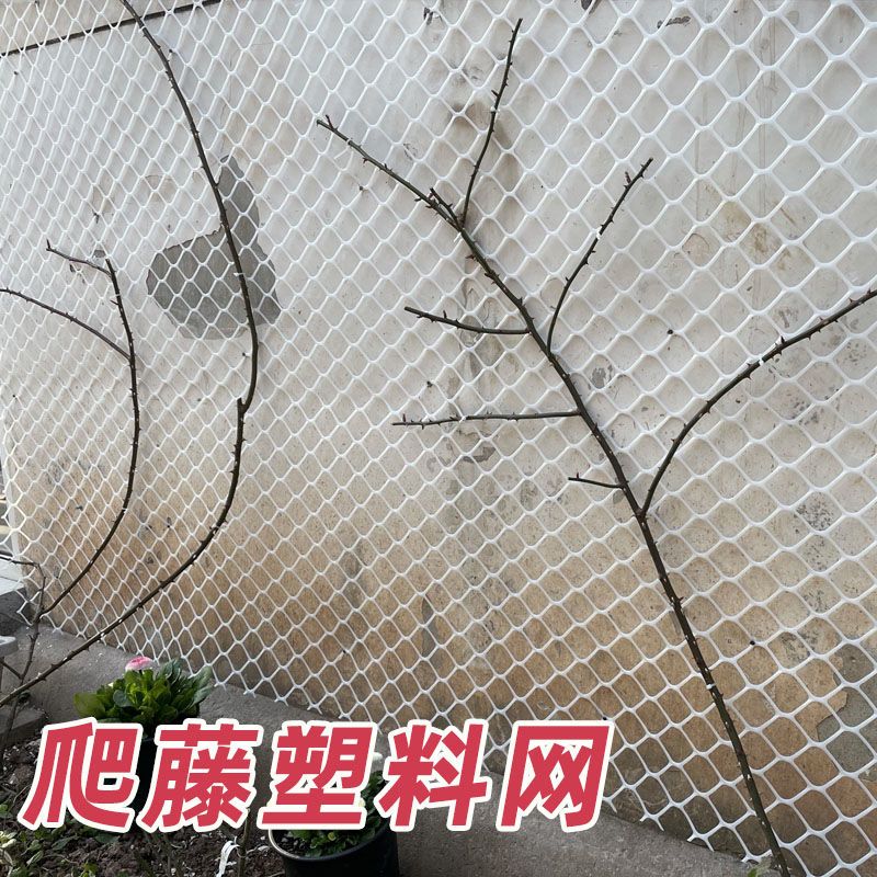 花墙架网格家用大孔塑胶网爬藤网格网片花墙包水管绿植爬藤塑料网 - 图0