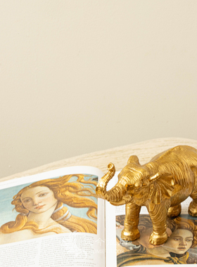 从今往后铜摆件复古大象