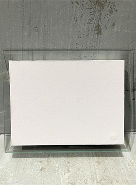 古生物异形不规则带底座小摆件