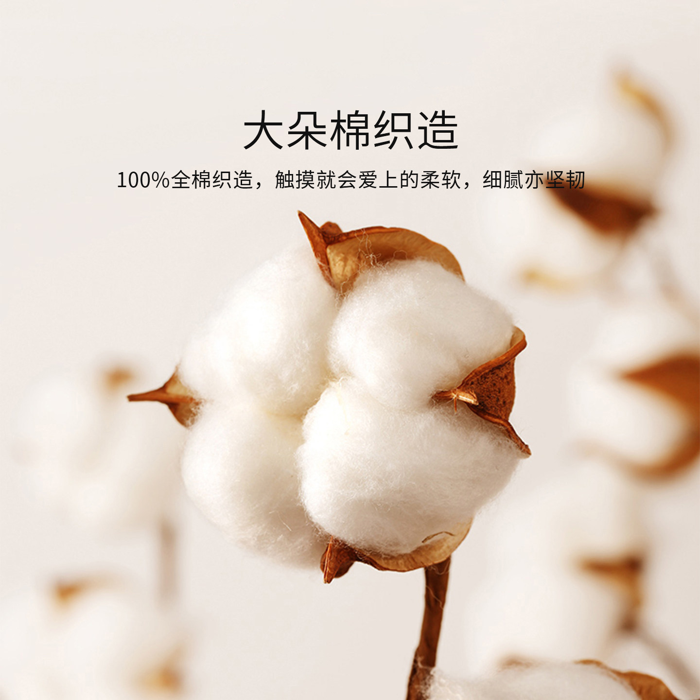 TEVEL/堂皇四件套全棉磨毛套件秋冬季加厚保暖床单被套芙罗拉