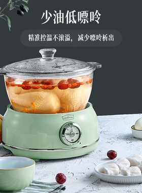 拓璞全玻璃炖煮锅0胶0塑电炖锅