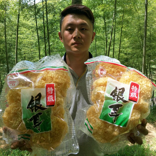 白木耳古田银耳干货精选雪耳糯耳活耳丑耳500g一斤装包邮 - 图1