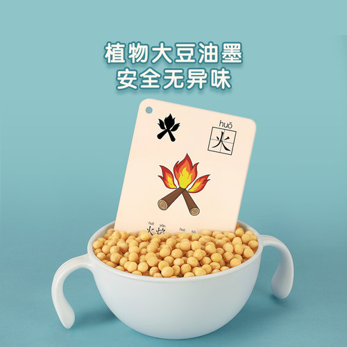幼儿园识字大王卡片3000字启蒙书宝宝认字表儿童象形看图汉字全套 - 图2