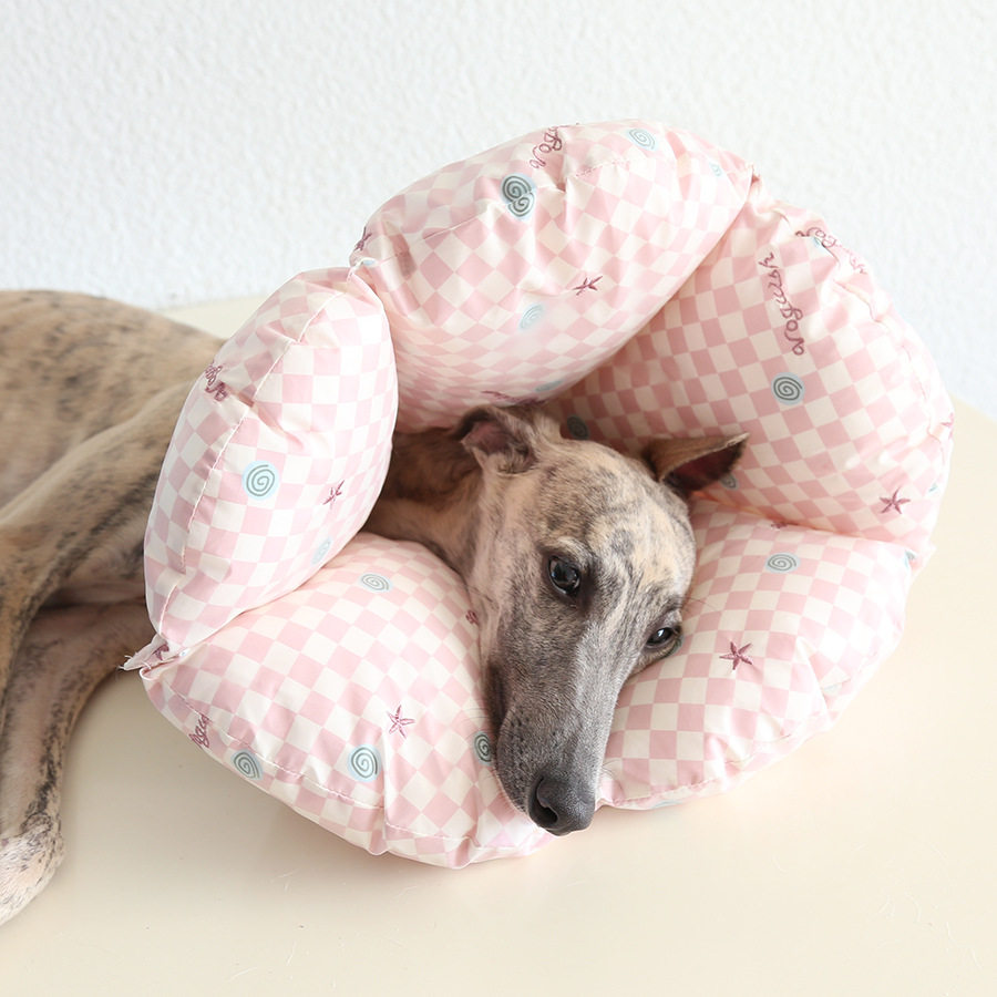 贝壳扇形加棉伊丽莎白圈防抓咬头套猫咪胖狗狗脖圈宠物枕头颈项圈,淘宝优惠券,粉丝福利购,淘宝优惠卷