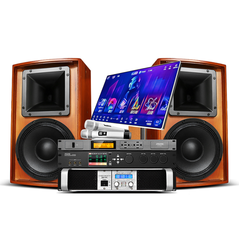 Fross fever-level professional amplifier home ktv