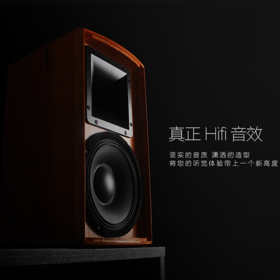 Fross/沸斯 VR10 10寸专业发烧级KTV音响 舞台演出实木音箱
