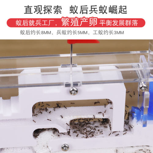 蚂蚁工坊沙土版 大头蚁蚂蚁城堡豪华宫殿别墅 送蚁后可繁殖可产卵 - 图1