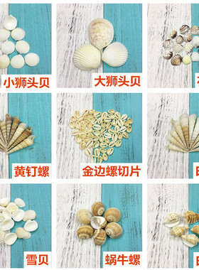 diy马赛克手工制作材料天然贝壳
