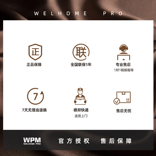 Welhome/惠家 KD-310 咖啡机家用商用半自动咖啡机WPM意式浓缩 - 图2