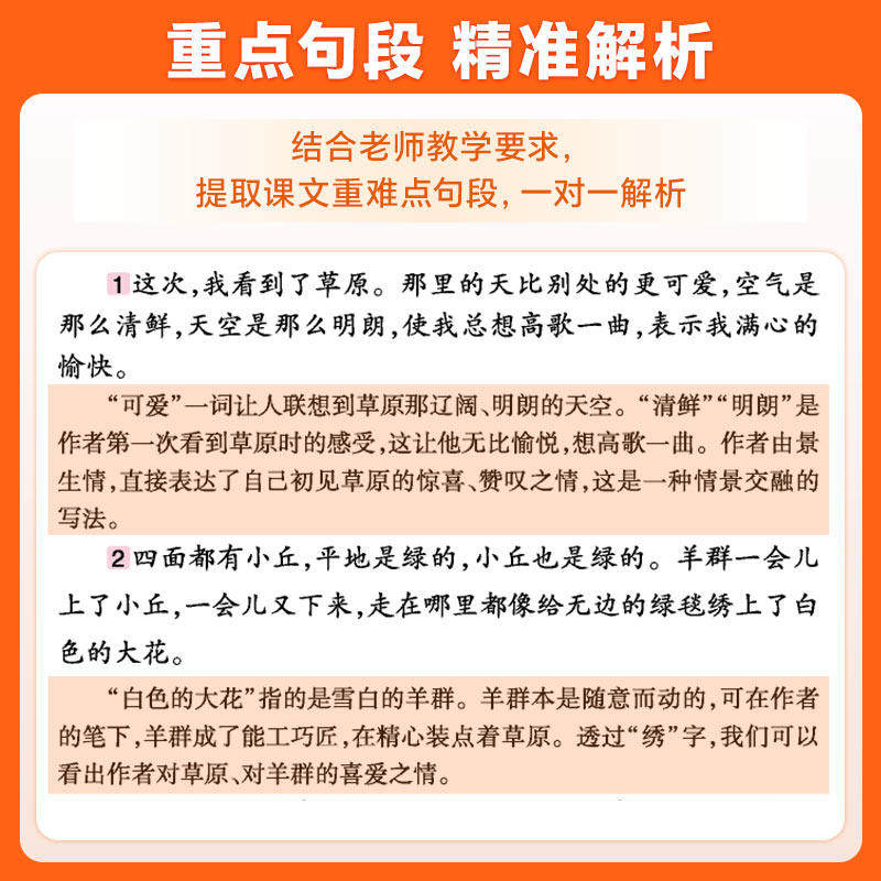 2026字词句篇一二年级三四年级下五六年级下册人教版语文上册字词句篇章生字组词造句同步专项训练题册小学教材全解解读预习复习书