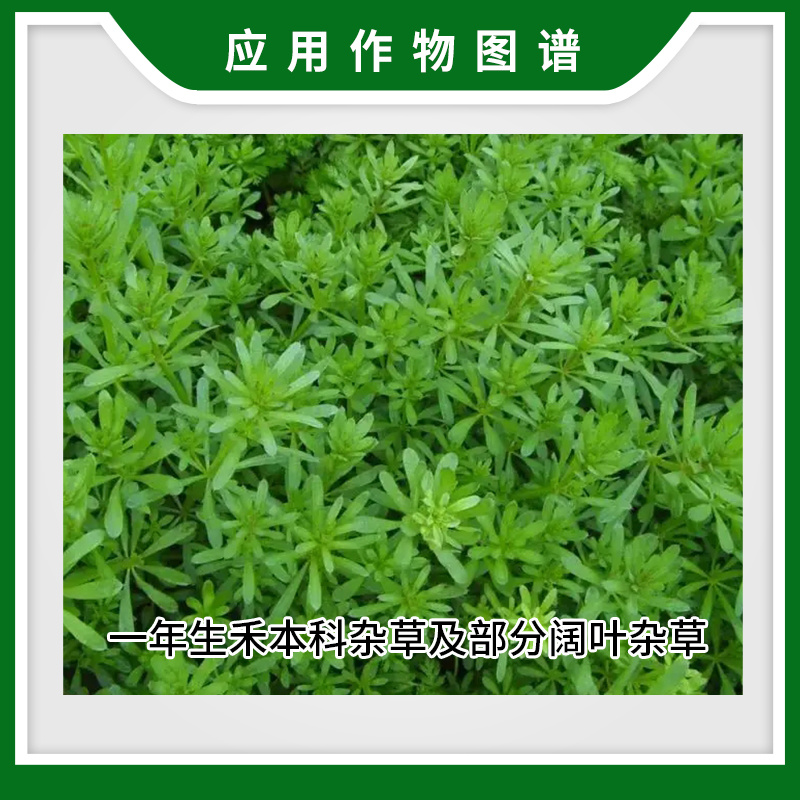 农得益 50%丁草铵丁草胺丁草安除草烂根阔叶杂草农药杀灭除草剂 - 图2