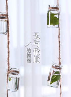 麻绳水培植物阳台庭院悬挂饰吊瓶