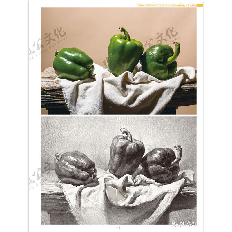 一战成名2素描静物临摹范本 烈公文化唐智源单个组合石膏几何体静物结构大关系照片范画美院高考联考美术基础教材教程画册书籍7,淘宝优惠券,粉丝福利购,淘宝优惠卷