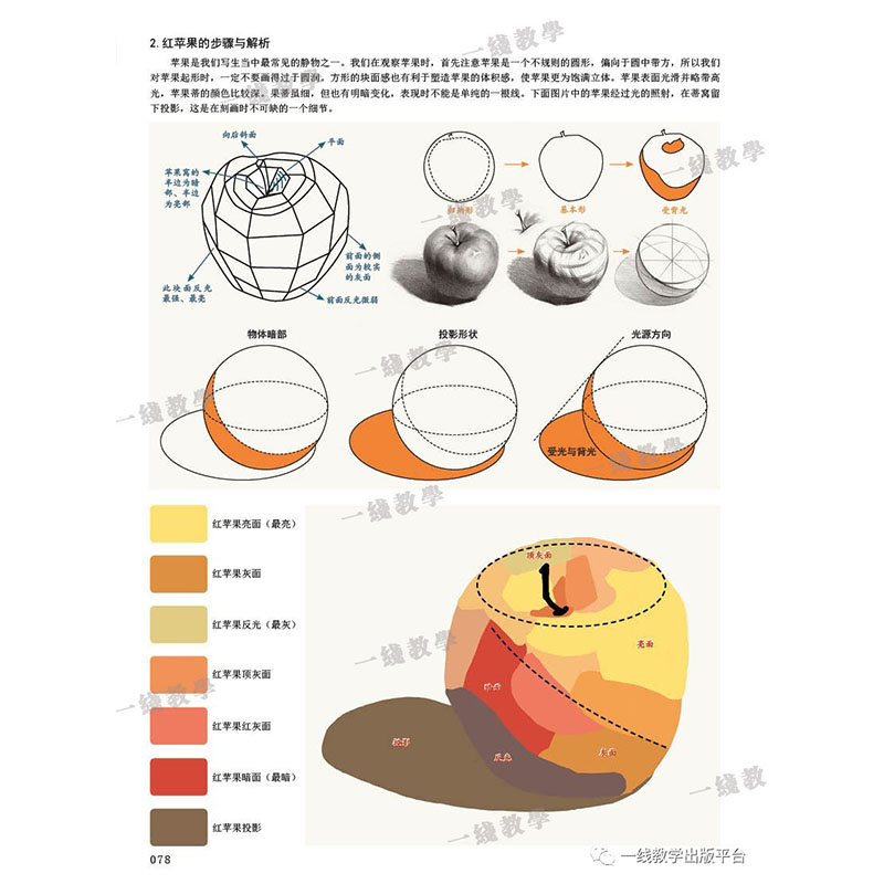 2019色彩基础教程一本通一线教学鲍冬冬编水粉画色彩静物基础黑白稿色稿色调练习色彩风景单体组合色彩范画临摹高联校考美术绘画书-图1