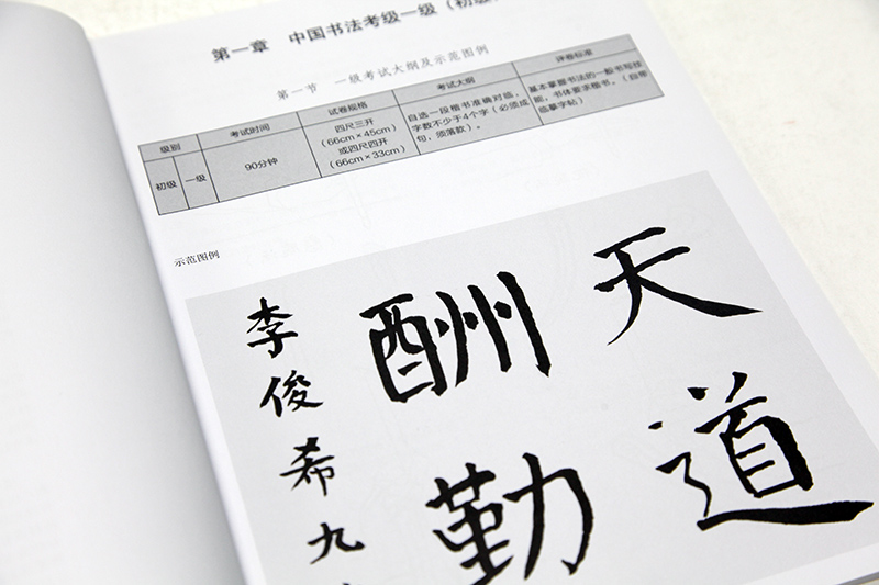 中国书法考级1-6级 吕金柱编 中国美术学院文化部授权机构全国通用美术考级规范教材考试大纲及示范图例优秀试卷评析 - 图1