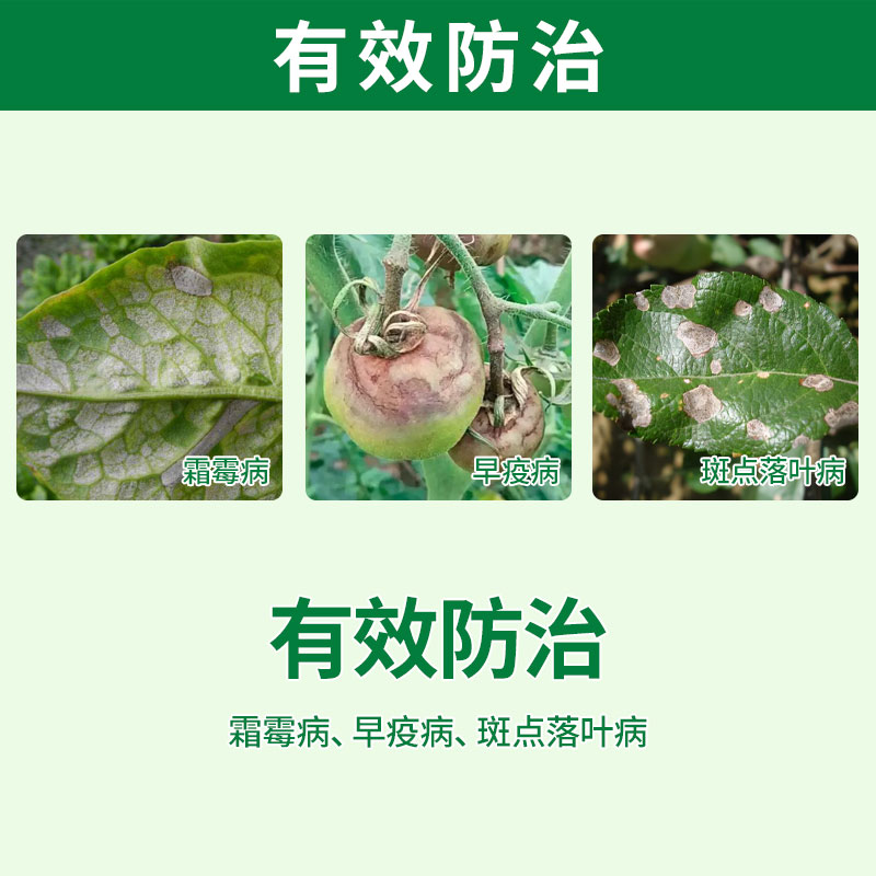 80%代森锰锌代森猛锌辛杀菌剂早疫病黑星病炭疽病 农药农资杀菌剂 - 图2