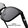 Tyrannosaurus Versatile Black Super Sunglasses