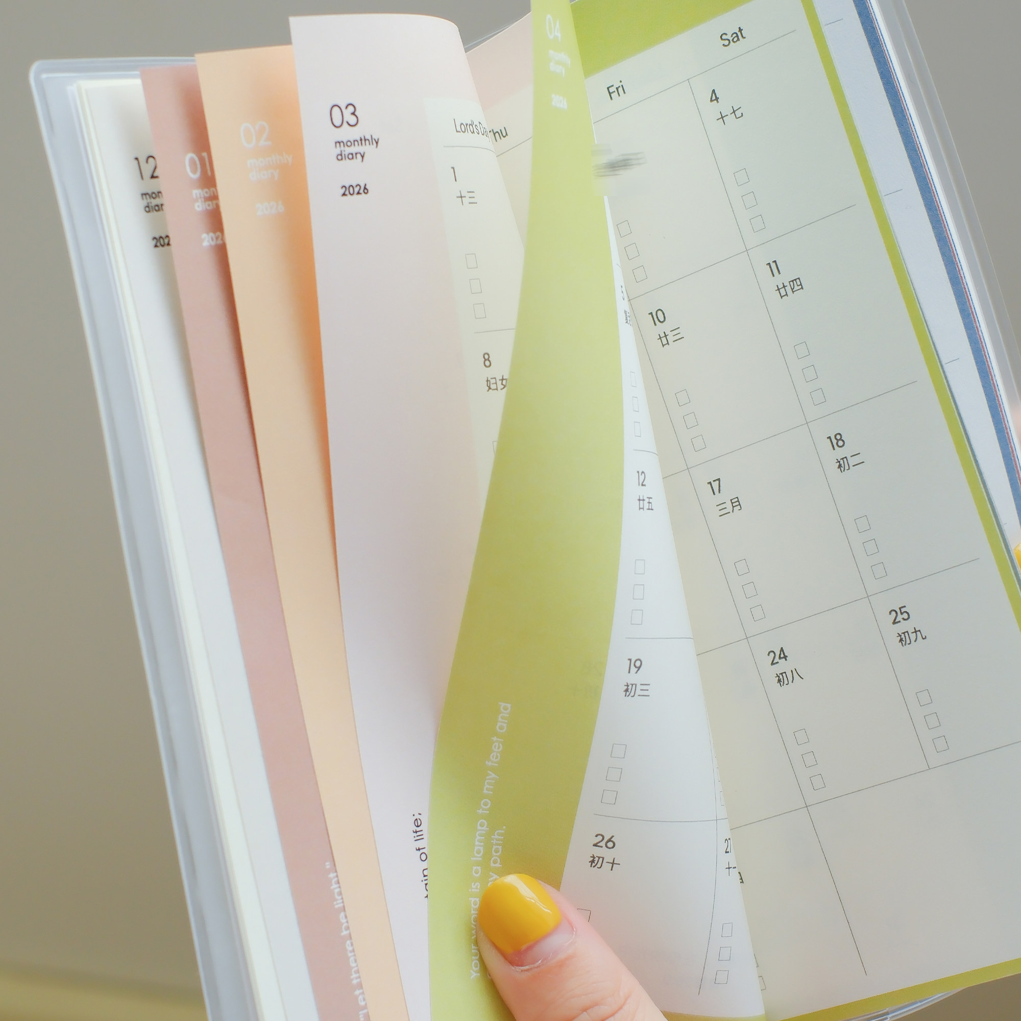 2026口袋计划手册新时光LIGHT便携本手绘插画简约文字款,淘宝优惠券,粉丝福利购,淘宝优惠卷