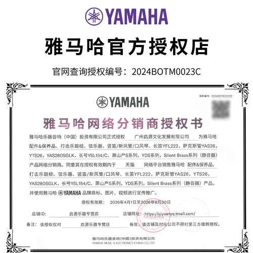 雅马哈萨克斯YAS26/S1降E中音儿童初学者入门成年考级专业演奏 - 图0