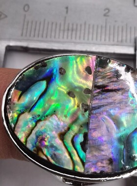 情侣鲍鱼贝椭圆形戒指盒装