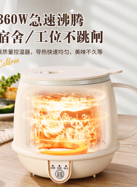 牛奶便携养生杯电水壶保温加热