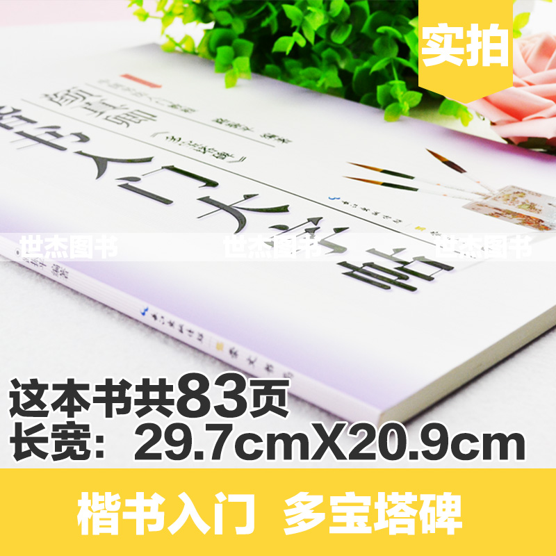 正版现货中国书法入门教程楷书入门大字帖颜真卿多宝塔碑路振平编著全新修订版学生成人初学者练大字书法培训丛帖毛笔教材书-图1