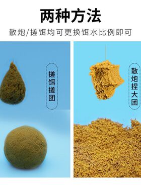 大盆小药快意江湖鲫鲤虾饵料散炮