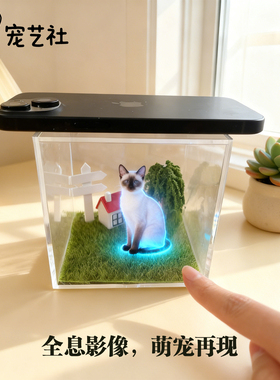 宠物全息数字屋纪念摆件