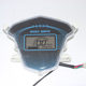 Wang Shangling, the sand turtle in the LCD code of the electric vehicle instrument