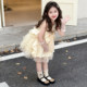 ເດັກຍິງ Summer Princess ແບບ Mesh Puff Dress