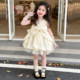 ເດັກຍິງ Summer Princess ແບບ Mesh Puff Dress