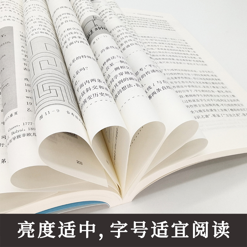 正版数学史与初中数学教学汪晓勤栗小妮理论实践与案例HPM教学新时代中学数学教师丛书教学改革书籍华东师范大学出版 大夏书系 - 图3