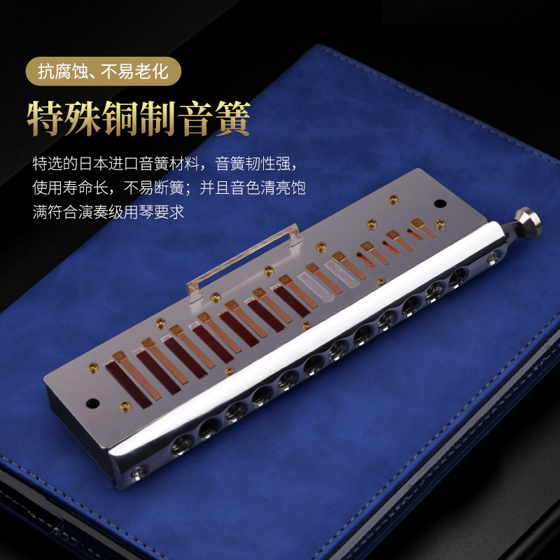 天鹅追梦人半音阶16孔12初学者口琴 天鹅口琴
