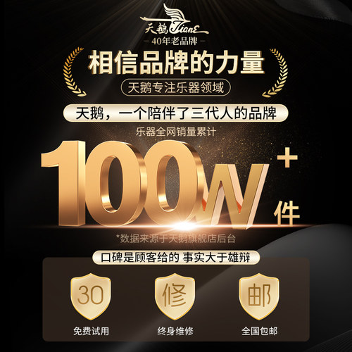 天鹅陶笛乐器12孔AC调中音小学生专用十二孔初学者官方旗舰店T06 - 图0