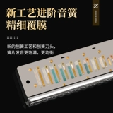天鹅 Профессиональная губная гармошка, практика для начинающих для школьников и студентов, официальный флагманский магазин