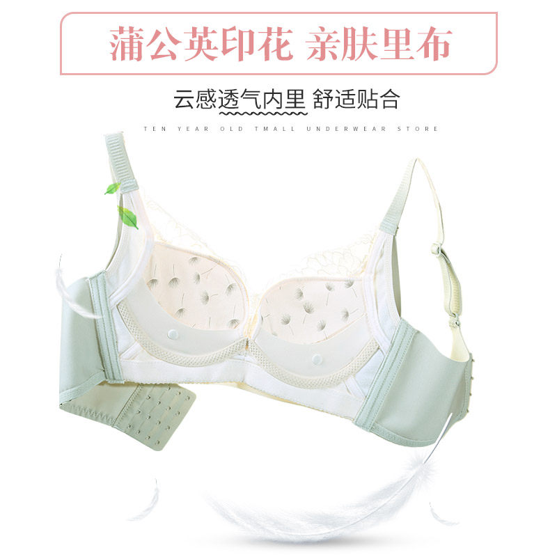 女聚拢上托防下垂性感无钢圈胸罩 玫瑰柏拉图文胸