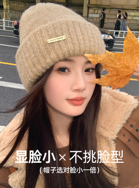 铁标针织帽女秋冬保暖宽松大头围