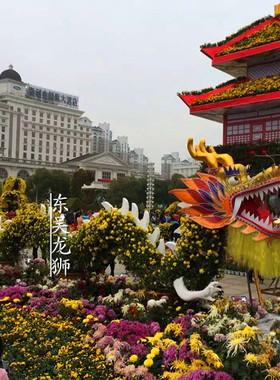 龙头龙尾舞龙东吴龙狮特价端午节