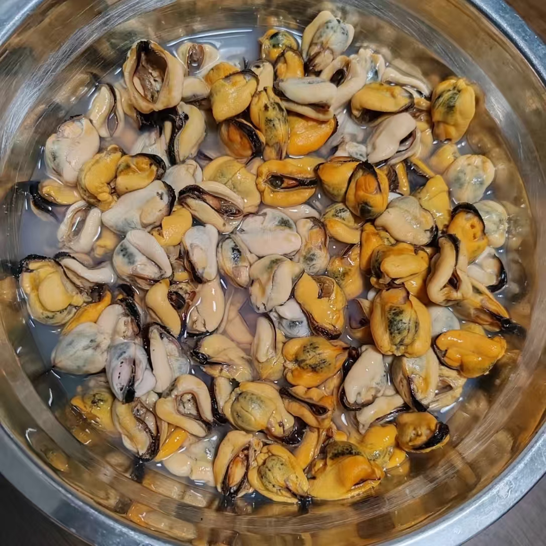 Fresh frozen seafood, mussels, mussels, cat and dog food