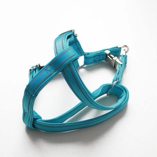 Sturdy dog walking harness + leash with full metal accessories