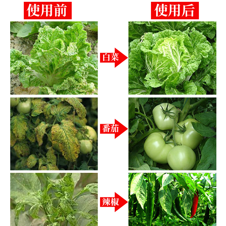 病毒病特效素农药杀菌剂 百香果番茄辣椒小叶病 花叶病毒病专用药 - 图2