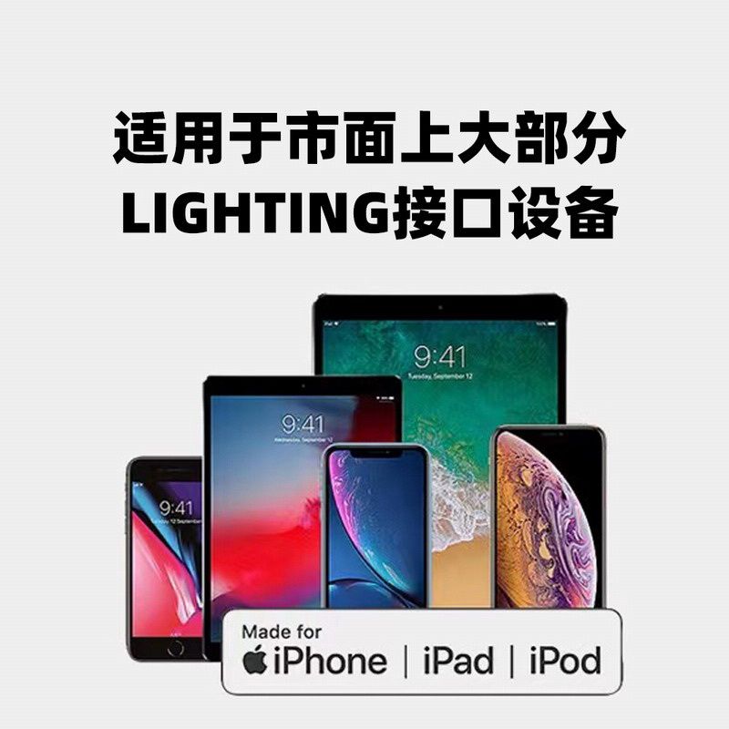 CY 20w快充转接头 type-c母转lighting公头适用适用于iPhone 15