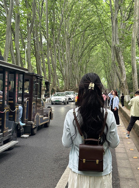 女士时尚拎包手提包休闲摄影时装