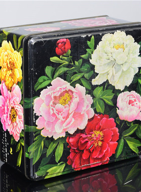 饼干盒小箱子旧饼干桶铁皮箱怀旧