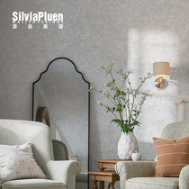 Silvia Pluen retro American non-woven fabric cement grey wallpaper Non-stick Living room Bedroom Room Wallpaper